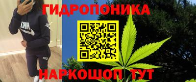 гашик Кизляр